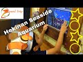 Let's go to Hekinan Seaside Aquarium 碧南海浜水族館・碧南市青少年海の科学館 / H…