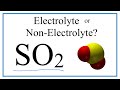 Understanding Sulfur Dioxide and Electrolytes