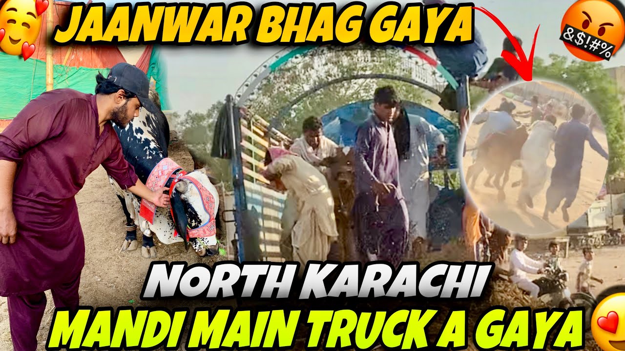 TRUCK A GAYA NORTH KARACHI MANDI MAIN 😍😳||UNLOADING 2025 JAANWAR BHAG GAY😱😍||
