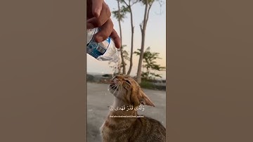 سبحان الله وبحمده سبحان الله العظيم 💚🍃#قرآن #القرآن_الكريم #أرح_سمعك_وقلبك #تلاوة_خاشعة