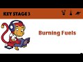 Combustion and Environmental Impact Quiz