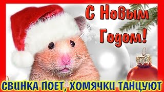 ХОМЯКИ ТАНЦУЮТ / СВИНКА ПОЕТ /СКАЗКА С НОВЫМ ГОДОМ /+ ПРИВЕТЫ✈/ ПОЗДРАВЛЯЕМ / ХОМКИ / ХОМЯК ХОМЯКИ ТАНЦУЮТ / СВИНКА ПОЕТ /СКАЗКА С НОВЫМ ГОДОМ /+ ПРИВЕТЫ✈/ ПОЗДРАВЛЯЕМ / ХОМКИ / ХОМЯК