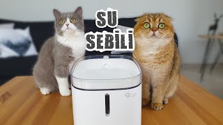 KEDİLERİMİZ İÇİN SU SEBİLİ ALDIK