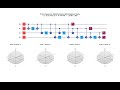 Animation of QAOA Ansatz Optimization State