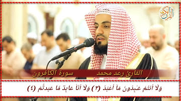 القارئ رعد محمد سورة الكافرون -١٠٩- ختم القران الكريم