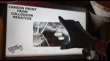 Carbon print from a collodion negative / Vlog #84