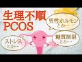 PCOS（多嚢胞性卵巣症候群）をどうにかしよう！