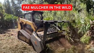 Forestry Mulching Land in South West Florida with our new #FAE Forestry Mulcher