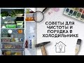 Советы для чистоты и порядка в холодильнике [Идеи для жизни]