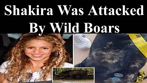 Shakira Was Attacked By Wild Boars
