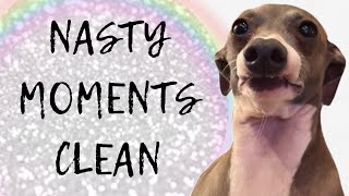 kermit being nasty for 4 minutes straight CLEAN | Jenna Marbles | Clean Videos