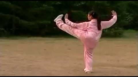 Tai Chi 24 form   slow motion