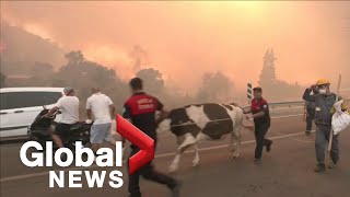 Firefighters in Turkey battle wildfires as flames race across hills