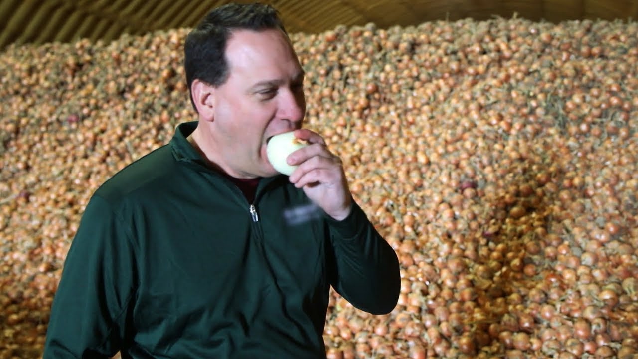 L'Oignon contre-attaque : enquête sur un légume qui fait pleurer