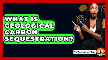 What Is Geological Carbon Sequestration? - The Documentary Reel