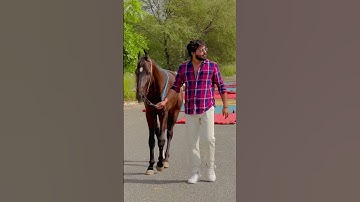 Tettar Uda Denge || New Gurjar Status 🔥 New Badmashi Status 🔥 Rohit Sardhana || New Status 2023 ||