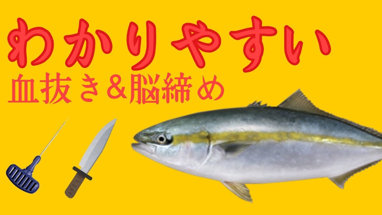 血抜きして釣った魚を美味しく食べたい 締め方とおすすめ便利アイテム 21年6月26日 エキサイトニュース