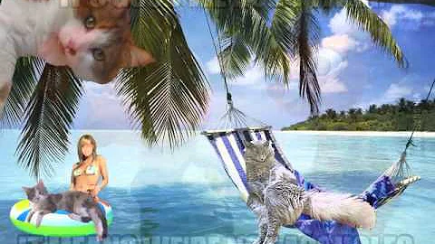 Facebook a look back by Cynthia Parrish