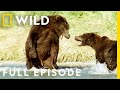 Brutal Brawls of the Animal Kingdom (Full Episode) | Animal Fight Night