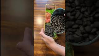 Making a Succulent Centerpiece with moss, rocks and fake stems #shesmakingsomething Making a Succulent Centerpiece with moss, rocks and fake stems #shesmakingsomething