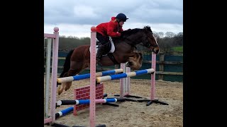 Freddy 13.2hh welsh C rising 8 years Jumping
