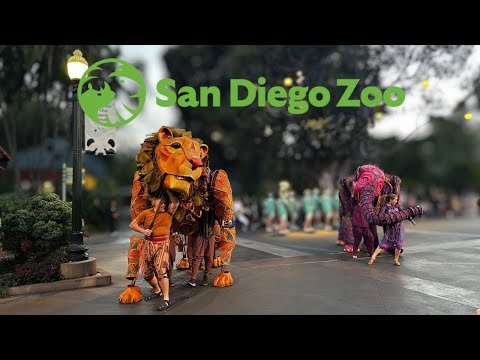 Nighttime Zoo: A Celebration to Remember at the San Diego Zoo - 2026 Event Guide