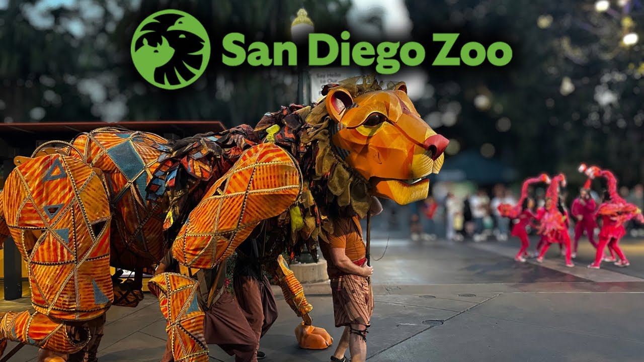 Nighttime Zoo: A Celebration to Remember at the San Diego Zoo