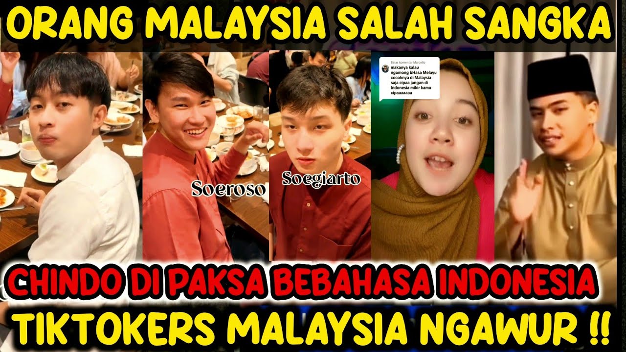 NGAWUR !! TIK TOKERS MALAYSIA SEBUT ORANG CHINA INDONESIA DI PAKSA BERBAHASA INDONESIA