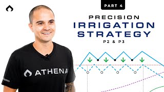 Precision Irrigation Strategy – Part 4: P2 & P3