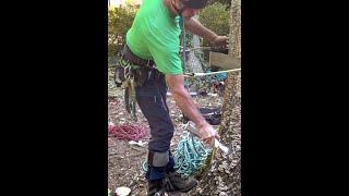 Nice Precision Hitting The Paint Target With My Spurs. Practice Makes Perfect