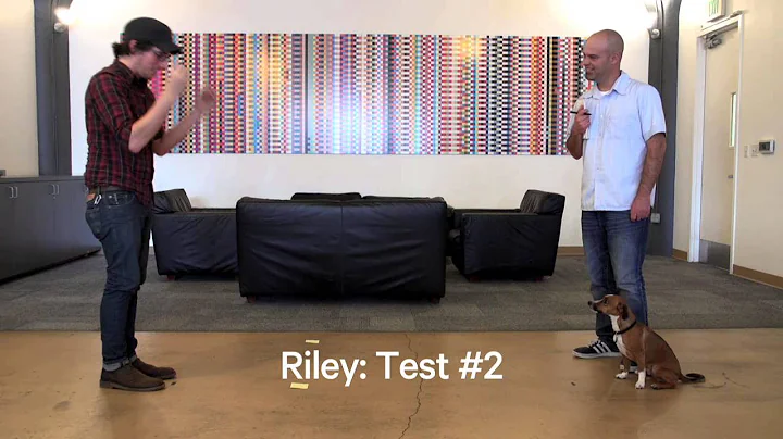 How Smart Is Your Dog?