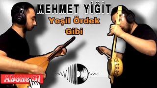 YEŞİL ÖRDEK GİBİ DALDIM GÖLLERE MEHMET YİĞİT Resimi