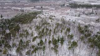 Minnesota hunting lease now available on HLRBO!