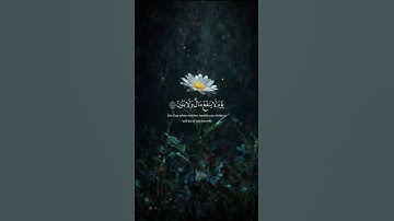 ارح سمعك و قلبك 🤍 قرآن كريم 🤍 اكتب شيئا تؤجر عليه 🤍