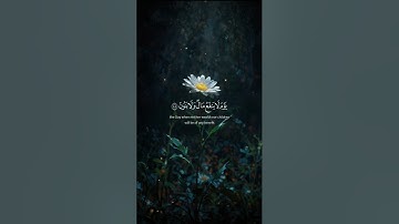 ارح سمعك و قلبك 🤍 قرآن كريم 🤍 اكتب شيئا تؤجر عليه 🤍