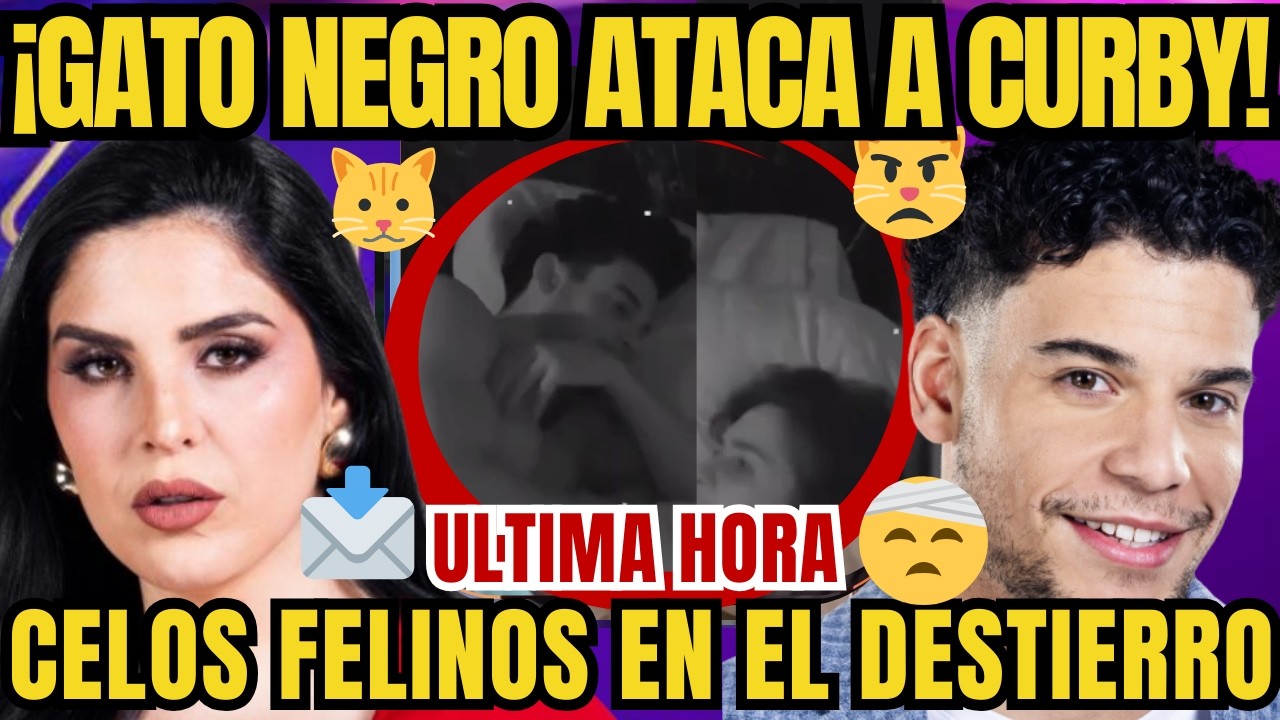 LA CASA DE LOS FAMOSOS 6 CAPITULO 17 ¡Gata VS Gatos! Curby termina rasguñada por celos felinos