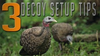 How to Properly Set Up Your Turkey Decoys!