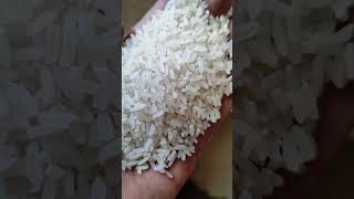 Can You Feel Quality Rice? Let’s Try! 👋🍚