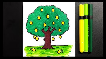 How to draw a mango tree easy step by step || Mango tree drawing easy