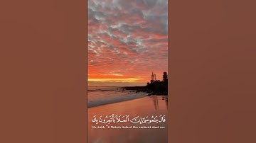 سوره القصص بصوت ياسر الدوسري اكتب شي تؤجر عليه #قران_كريم #قرآن #ياسر_الدوسري #سورة_القصص #راحة