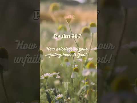 A Bible Study About the Unfailing Love Depicted in Psalm 36:7 1 YouTube video thumbnail