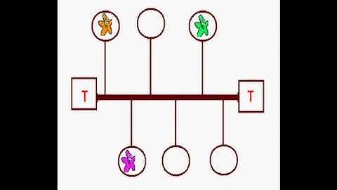 Bus network CSMA/CD protocol