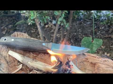 Backyard Fire with a Pronghorn!