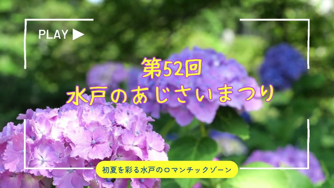 Announcement] The 52nd Mito Hydrangea Festival - YouTube