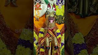 హృదయమునందు ఎప్పుడు భగవంతుని గురించి జై #srisailam #bakthi #hearttouching #mallikarjunaswamy #shorts