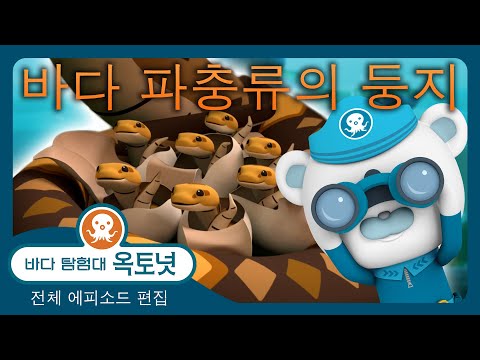 바다 탐험대 옥토넛 - 🐍🐢 바다 파충류의 <strong>둥지</strong> 🪺🐊 - 120분+ 편집 - 모음집