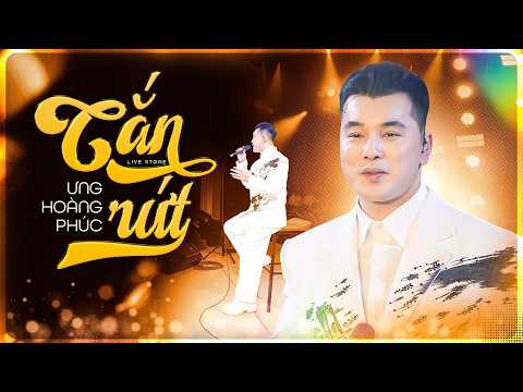 Cắn Rứt | Ưng Hoàng Phúc | Live at Tom Chat Band