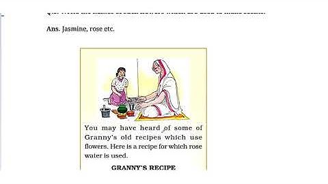 CBSE/NCERT/Class 4th/EVS/Chapter 11/The Valley of Flowers/Part 3