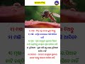 Masa Pai Nimapatra Dei Dhua Diantu Masa Asibe Nahi
