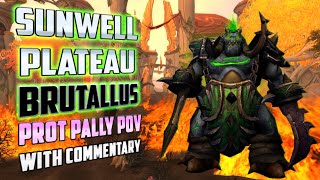 Breakdown: Brutallus Sunwell PTR Prot Paladin POV - TBC Classic